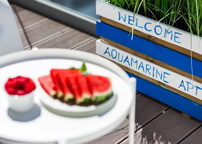 公寓 Plac Unii Aquamarine Premium 格丁尼亚